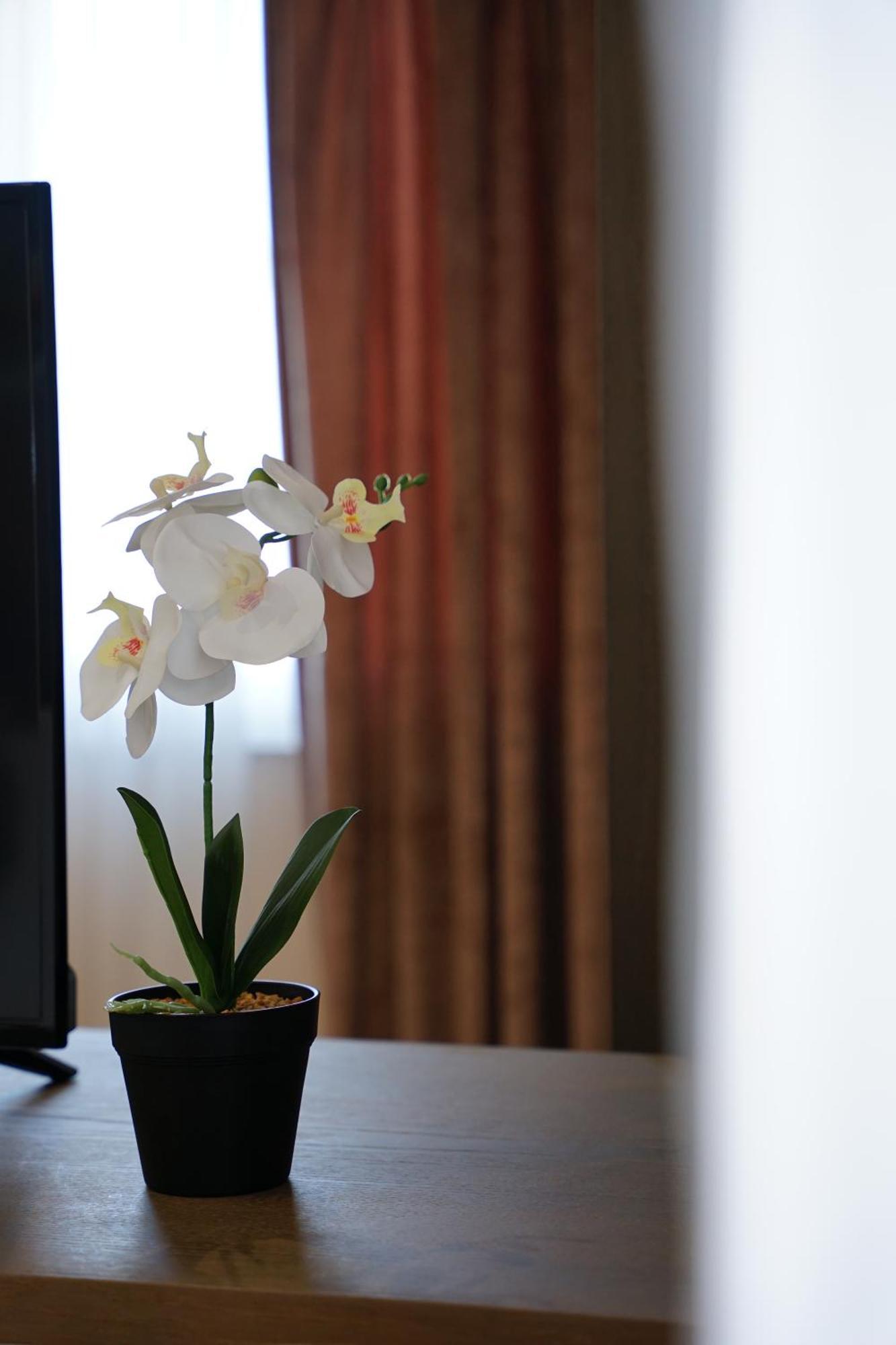 Doanesia Premium Hotel & Spa تيرانا المظهر الخارجي الصورة